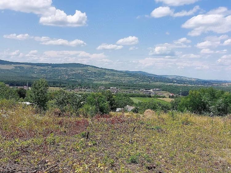 Teren de 6310 mp, în Curături