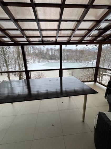 LAC MOGOSA, vila D+P+E+M cu 3ari teren! - 23