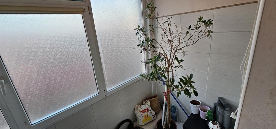 ANDA, 2 camere decomandat - 10