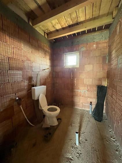 RECO Casa la rosu, la iesire din Les, langa padure - 7