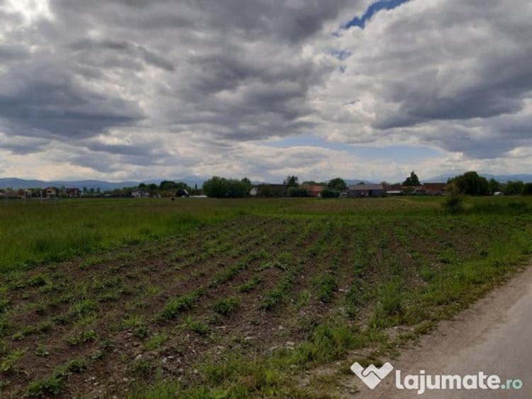Teren intravilan 5000 mp construibil zona rezidentiala - 2