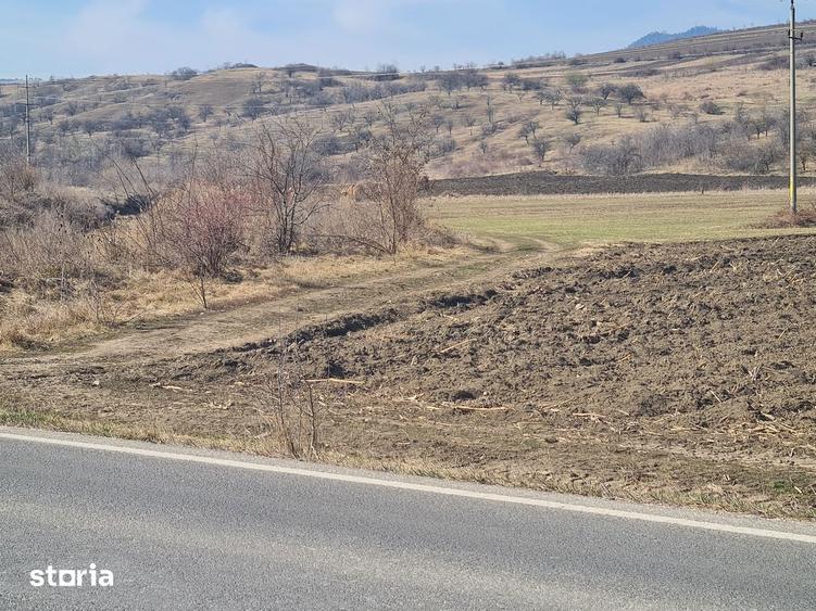 Teren extravilan 4000 mp. , Magiresti-Bacau - 2