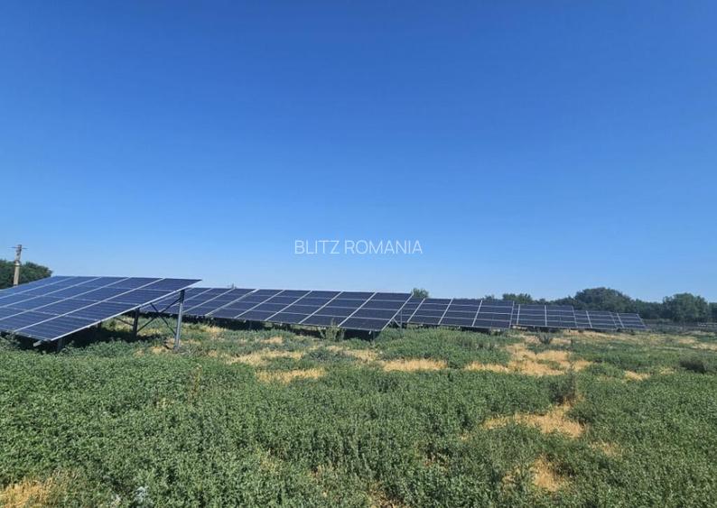 Proprietate agroindustriala, hala 1590 mp, teren 28000 mp, p