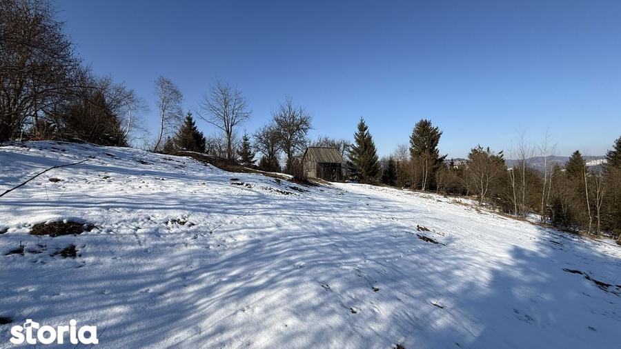 Teren extravilan 2.1 ha Salatruc, Vama - 8