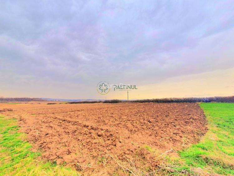 1174 mp in Ocna Sibiului - Teren Intravilan de Vis