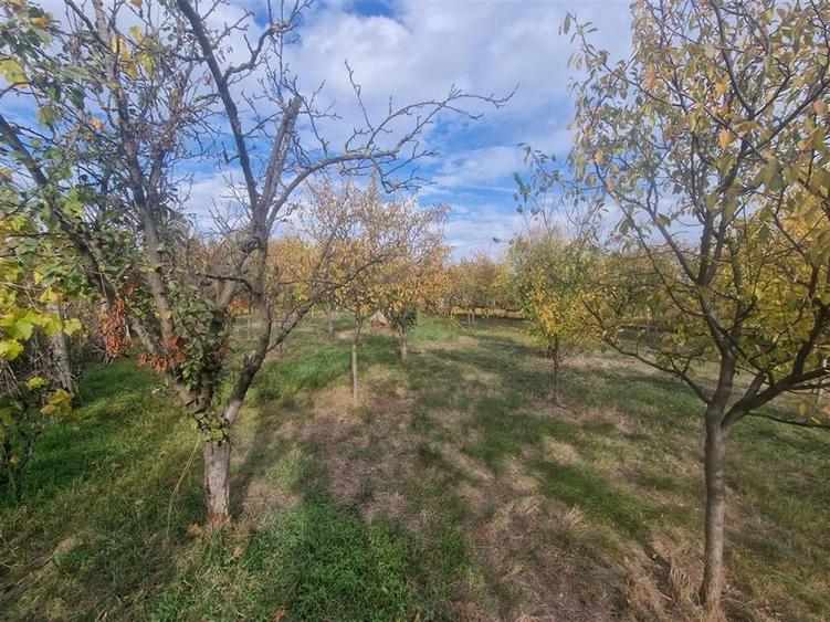 RECO Vila deosebita  in Santandrei cu teren generos - 47