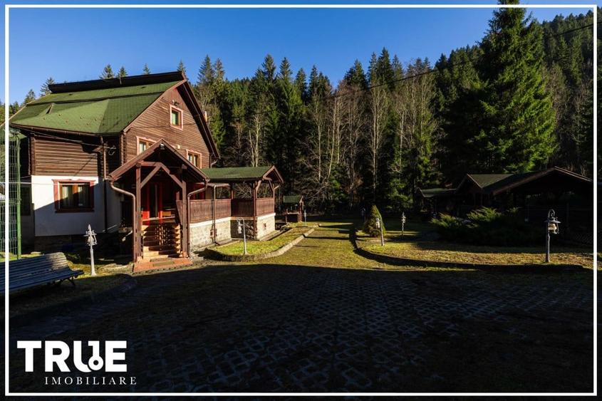 Cabană 210 m² + teren 1400 m² | Sălard, Mureș - 3