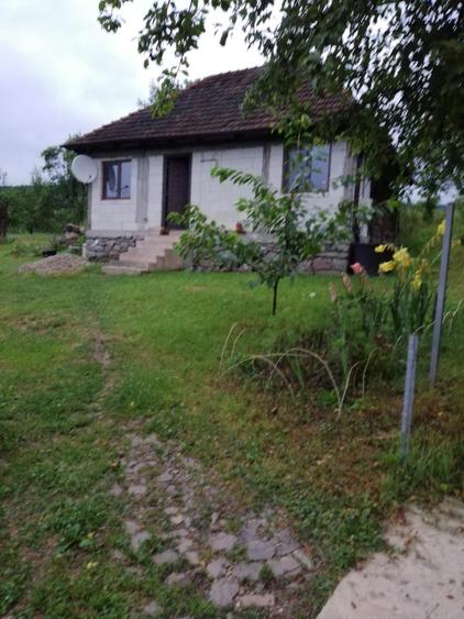 Vand casa batraneasca sat trestia com baita - 8