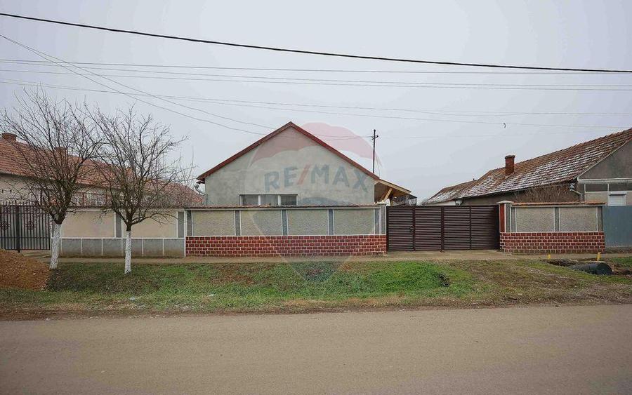 Casa cu teren de 3474 mp in Sannicolau Roman - 15