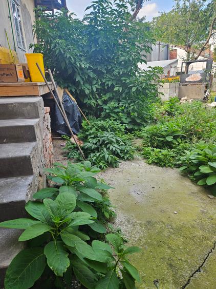 De vanzare casa centrala,situat  la 200m de centru,cu 5 camere,necesita renovat. - 1