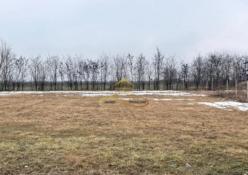 Teren de vanzare Siretu Saucesti Bacau - 3