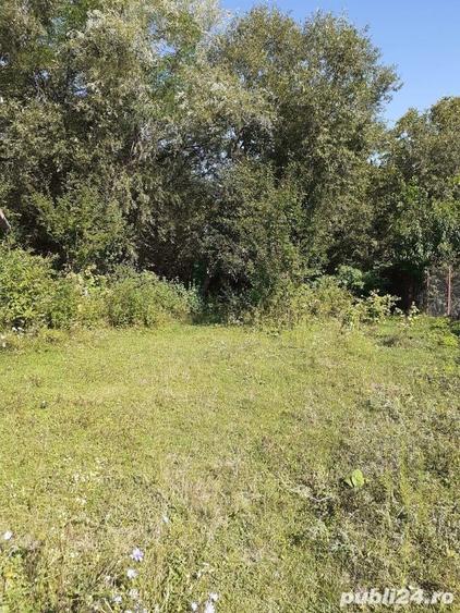 Teren de vanzare - 2