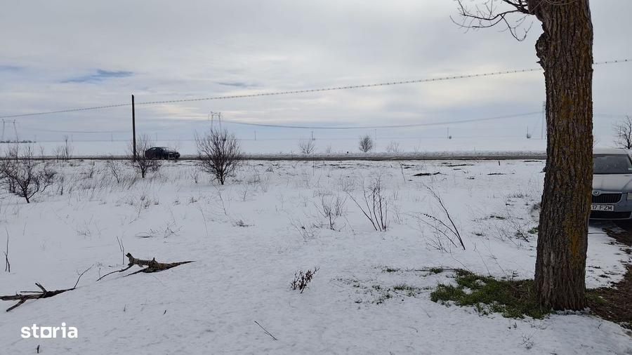 INCHIRIEZ TEREN FRUMUSANI - 6