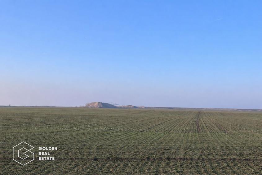 Teren agricol 32.000 mp, deschidere sosea Arad–Siria - 1