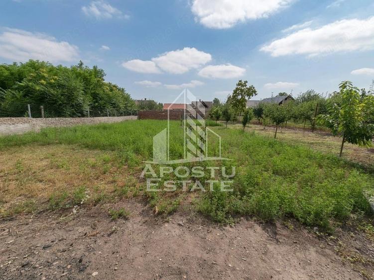 Se vinde casa in Teremia Mare, renovata, teren generos de 1.439 mp - 10