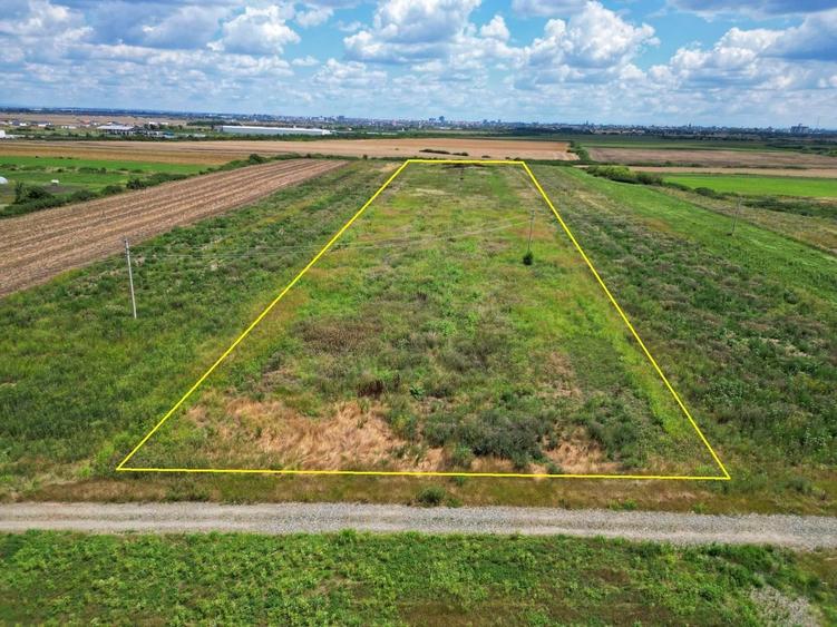 Teren Sacalaz 3,6 Ha - Pretabil PUZ Locuinte - 4