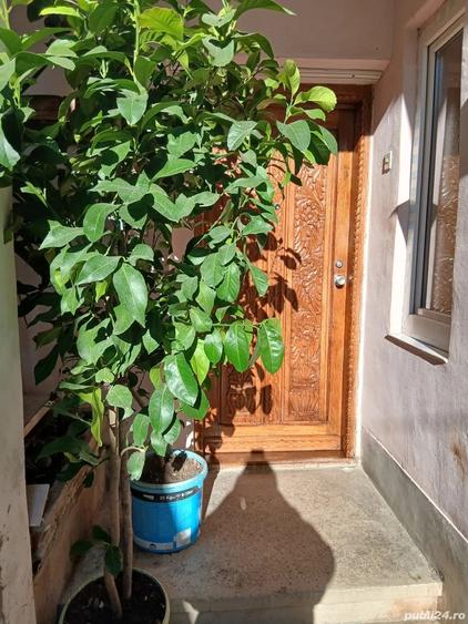 Casa de locuit sau pentru spatiu comercial - 2