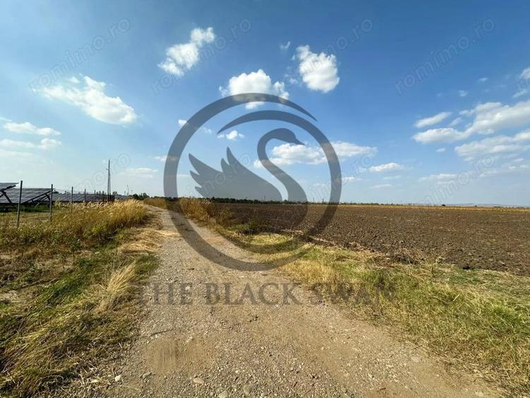 Teren extravilan de vanzare | 9882mp | Berceni - Prahova | Comision 0% - 2