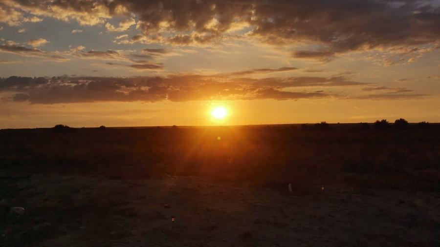 Vanzare 10000 mp plaja virgina,Constanta Vadu la Cherhana Bosoanca drum pietruit - 3