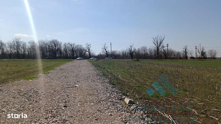 Terenuri Intravilane Industriale - 1.000 mp - Sos. Oltenitei DN 4 / A0 - 2