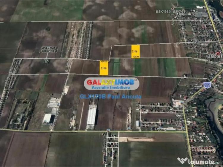 Teren Balotesti str Fantanii cu str Bisericii 1 Ha cu acces - 1