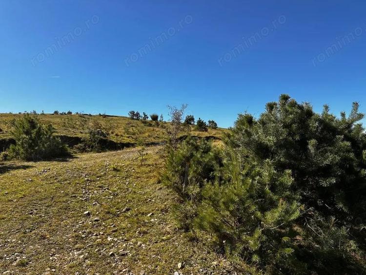 0% Comision- Teren cu constructie, langa padure-600 mp, Purcareni - 3