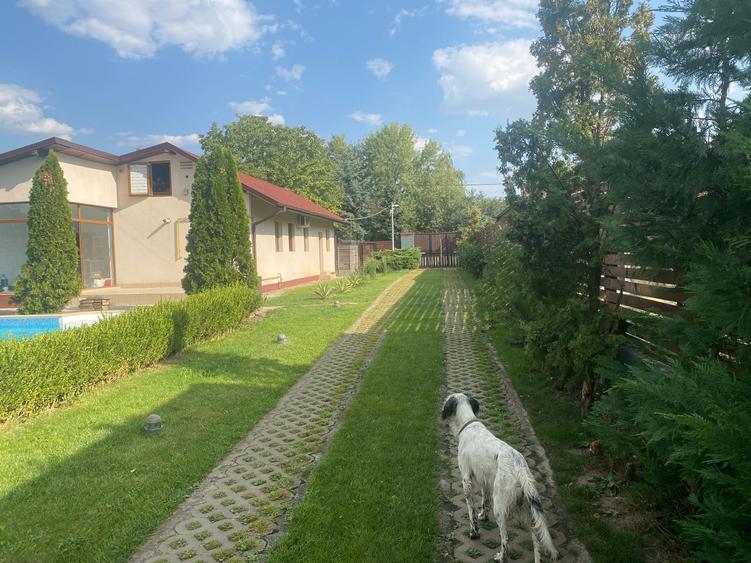 Proprietate Exclusivistă pe Malul Lacului Snagov – Design de Excepție, Premiat! - 42