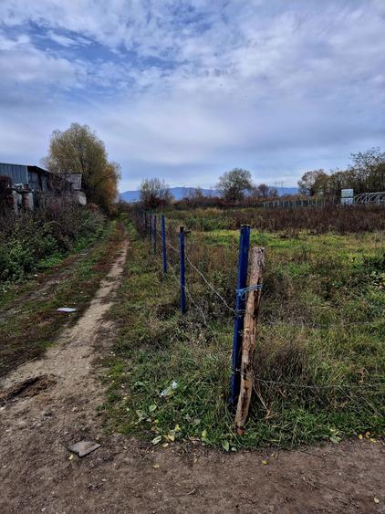 Teren constructie hala/depozit/mica insdustrie/service auto, Halchiu - 11