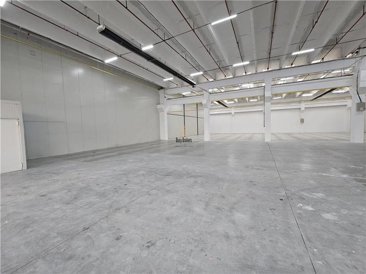 Spatiu Comercial - 900 mp - Showroom - Depozitare - 11