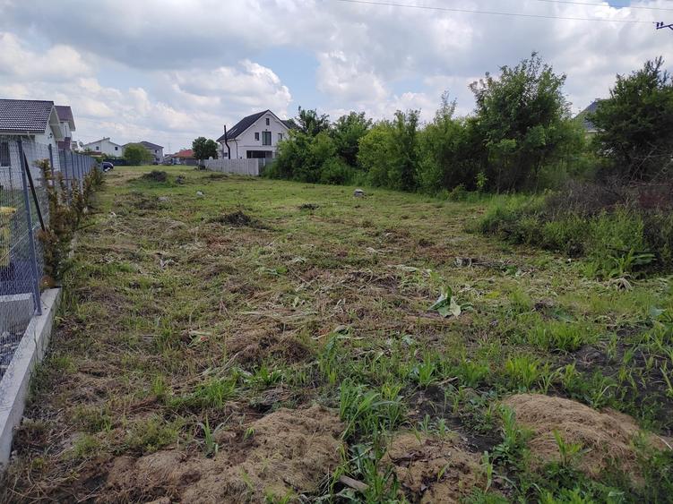 Teren de vanzare aproape de Muzeul Satului Banatean Giarmata Vii - 4