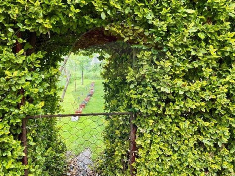 Casă / Vilă cu 5 camere de vânzare în zona Nord-Vest - 25