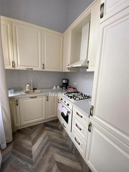 Apartament 60 Euro pe zi, amenajat in stil unic langa Primaria Arad - 10