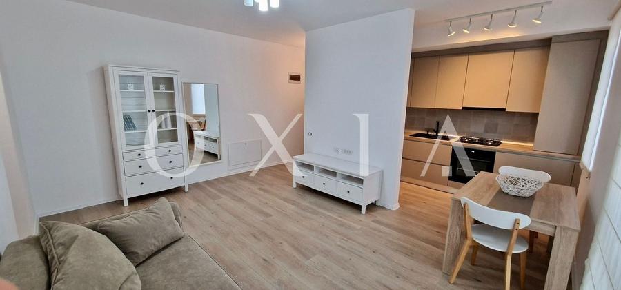 SX597 Dumbravita, Padure (Kaufland), Ideal Investitie - 3