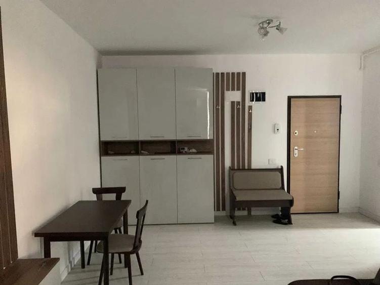 Apartament 2 camere Tineretului - 3