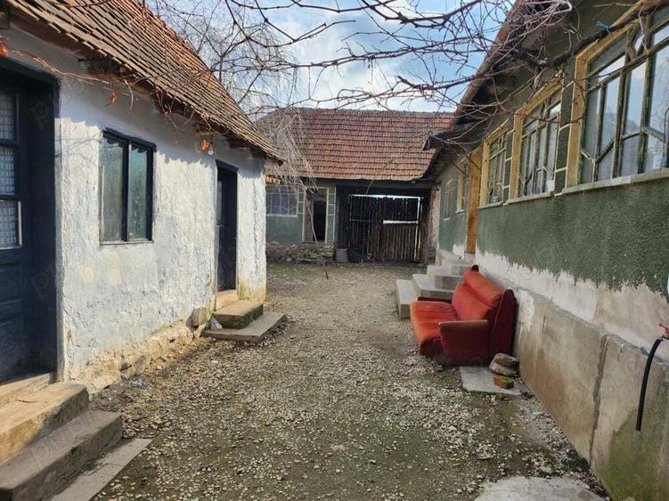 Vand casa Tau?, Arad - 5