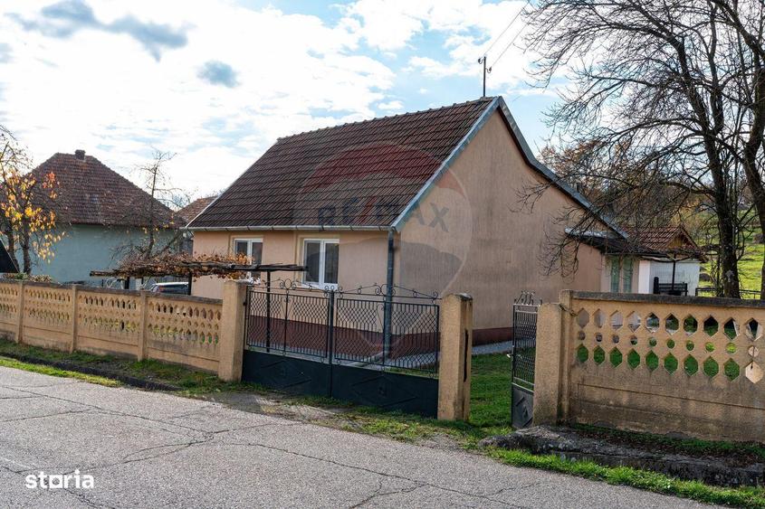 Casa de vanzare Certejul de sus,jud. Hunedoara - 8