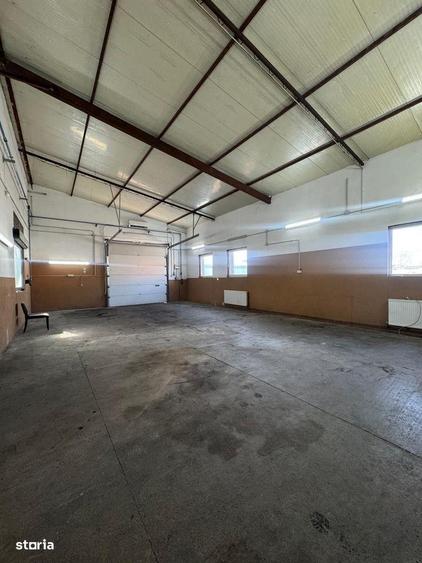 Hala de inchiriat in Vladimirescu - 6