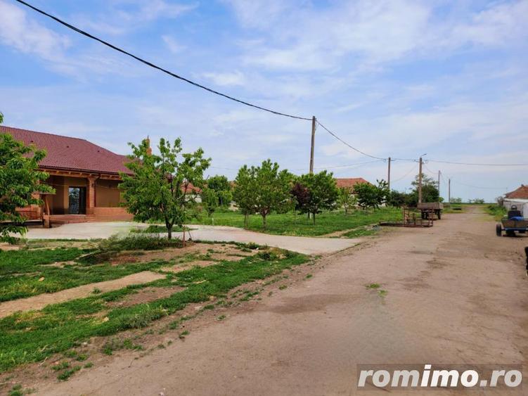 Domeniu, 9,5 ha, 25 KM de Timisoara - 11