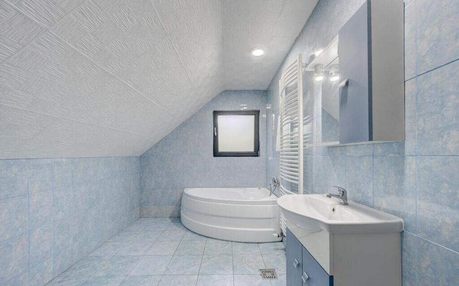 Casa de Maneciu Pamanteni, singur curte - 8