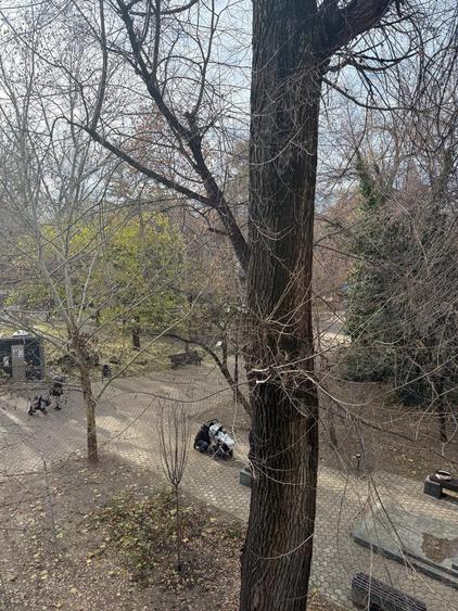 Vila Ion Voicu de vanzare - partial - etaj 1 si mansarda - Parcul Ioanid - 5