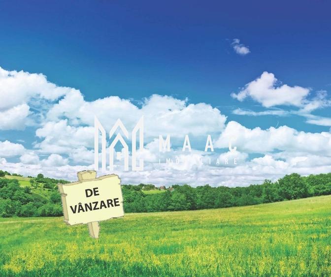 Teren intravilan | 29.300MP | Miercurea Sibiului - 1