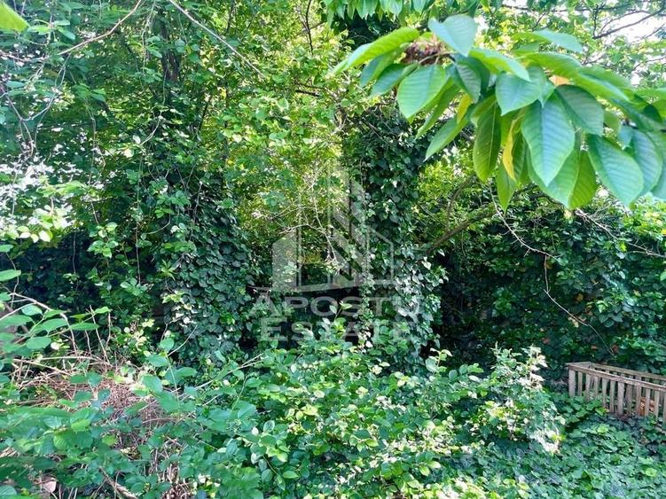 Casa individuala - zona inalta Bujac - 10