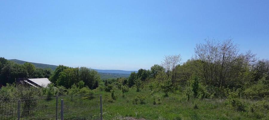 Teren de Vanzare 850 mp | Petrarie Burnova | Zona Ve - 4