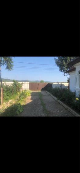 Casa de vanzare cu vie - 3