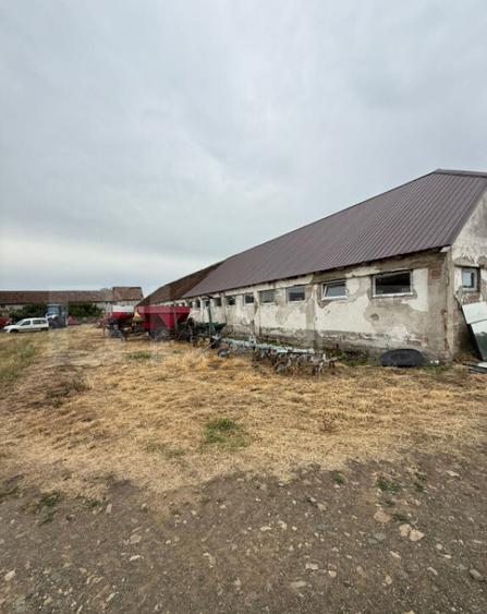 Ferma de Vanzare in judetul Timis, la nord est de Timisoara, - 31