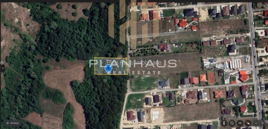 Teren intravilan 25 ari în Satu Nou de Jos - oportunitate excelentă