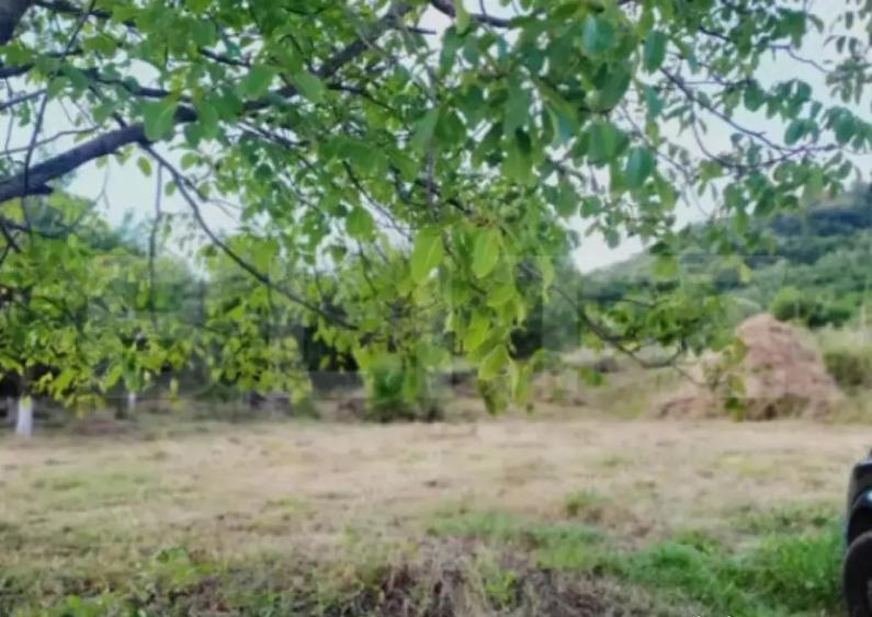 Teren intravilan de 15 ari Valea Jelnei, str. Campului - 5