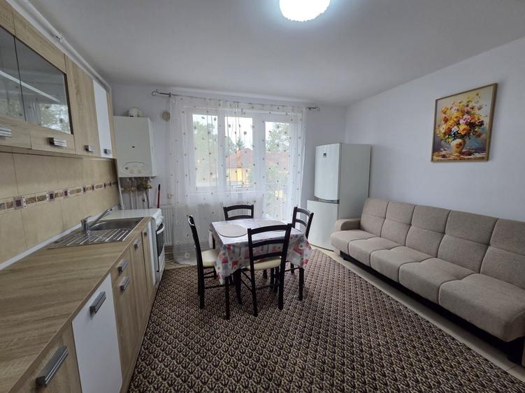 Apartament 2 camere Giroc - 5