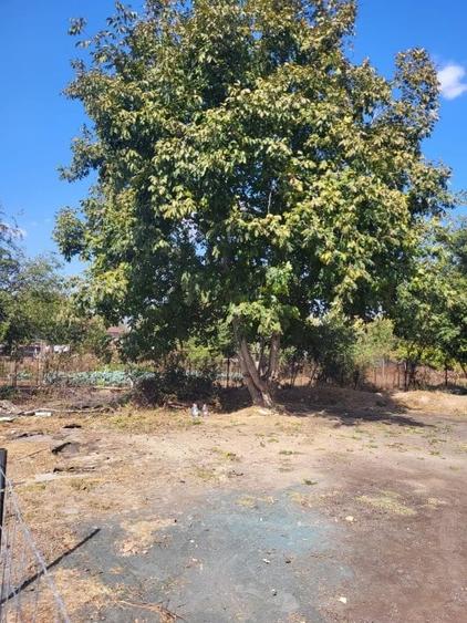 Teren intravilan zona Viile Noi - 11