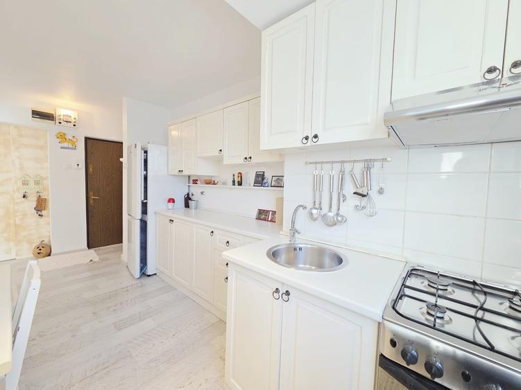 Apartament renovat mobilat si utilat Tiglina 2 - 3